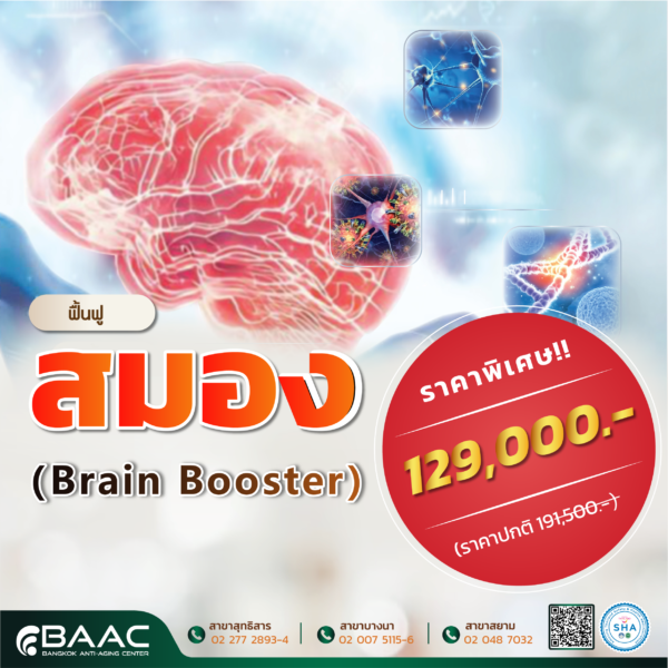 ฟื้นฟูสมอง - Brain Booster​ - Image 2