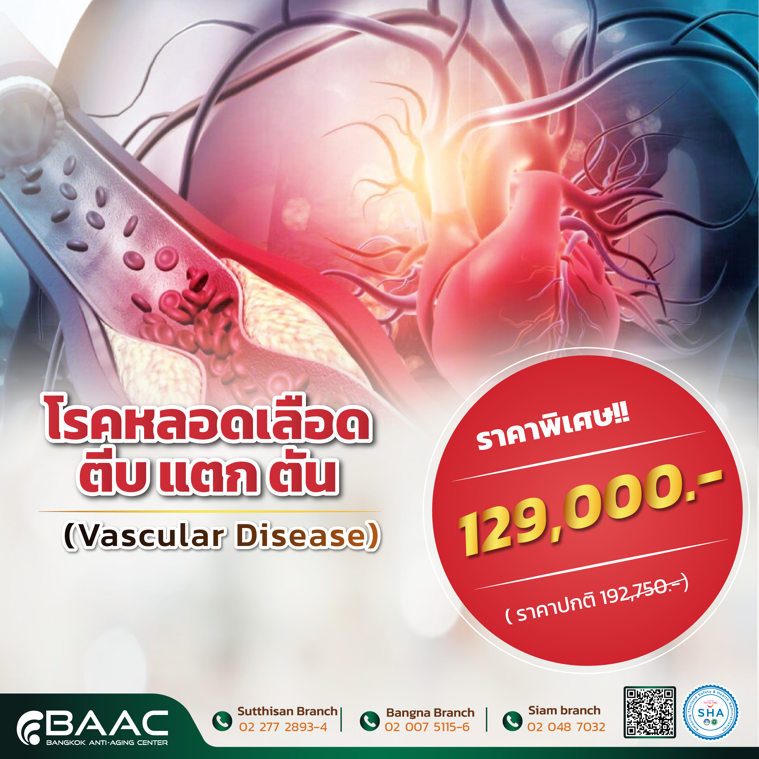 หลอดเลือดตีบแตกตัน - Vascular Disease​